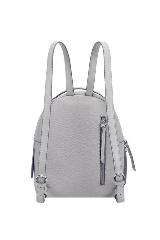 Fiorelli Anouk Faux Leather Backpack 3