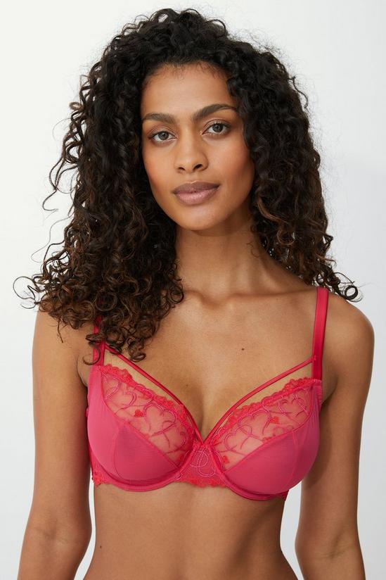 Gorgeous Dd+ Love Heart Embroidery Plunge 1