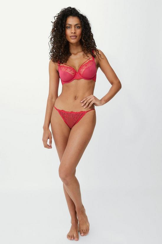 Gorgeous Dd+ Love Heart Embroidery Plunge 4