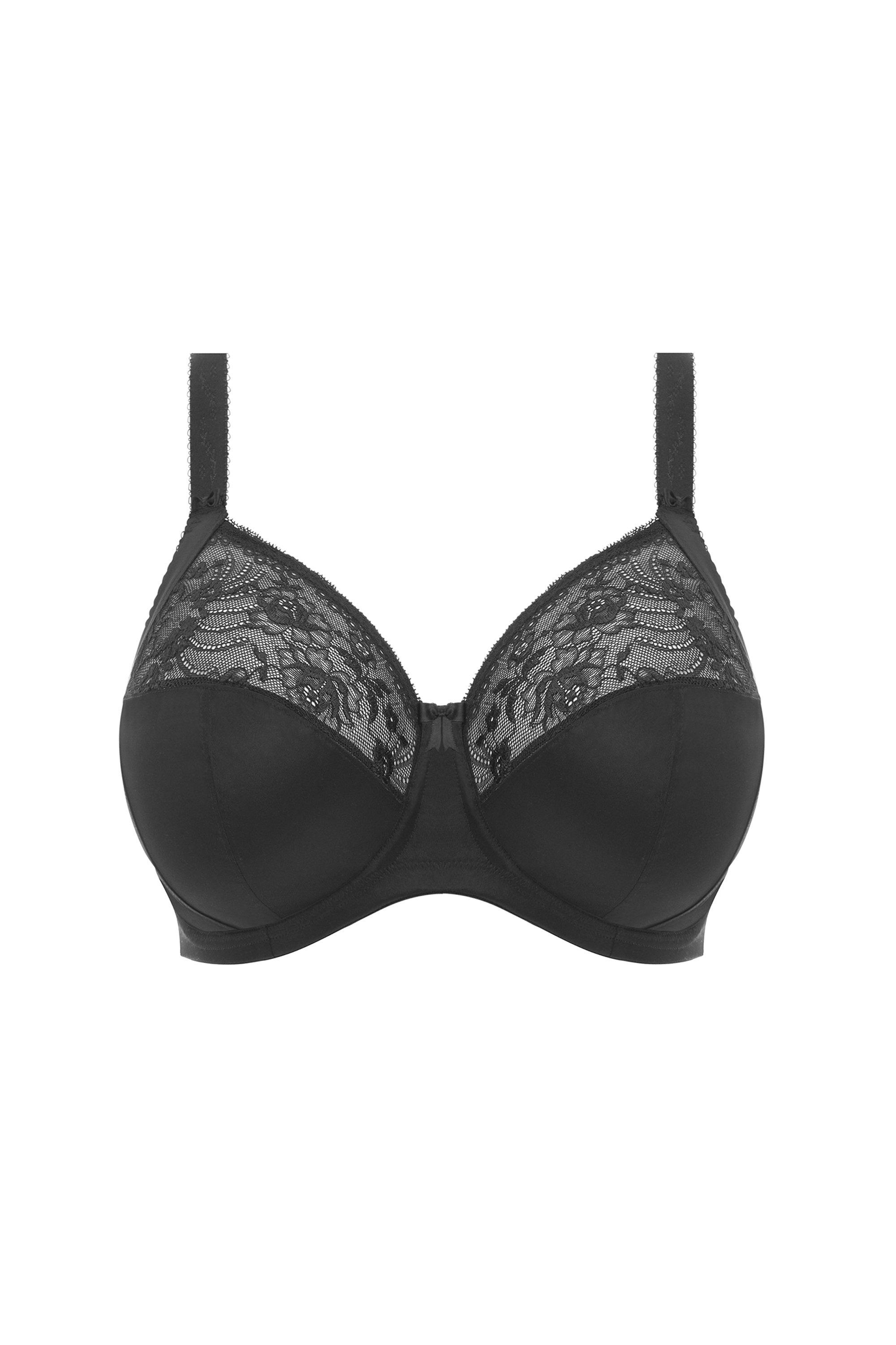 27.52% OFF on ELLE LINGERIE BLACK MOULDED BRA (LB8761)