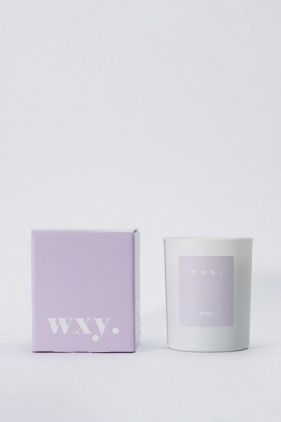 Wxy Eos - Orris Root & Amber Candle 1