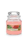Yankee Candle Sun-Drenched Apricot Rose Small Candle Jar thumbnail 1
