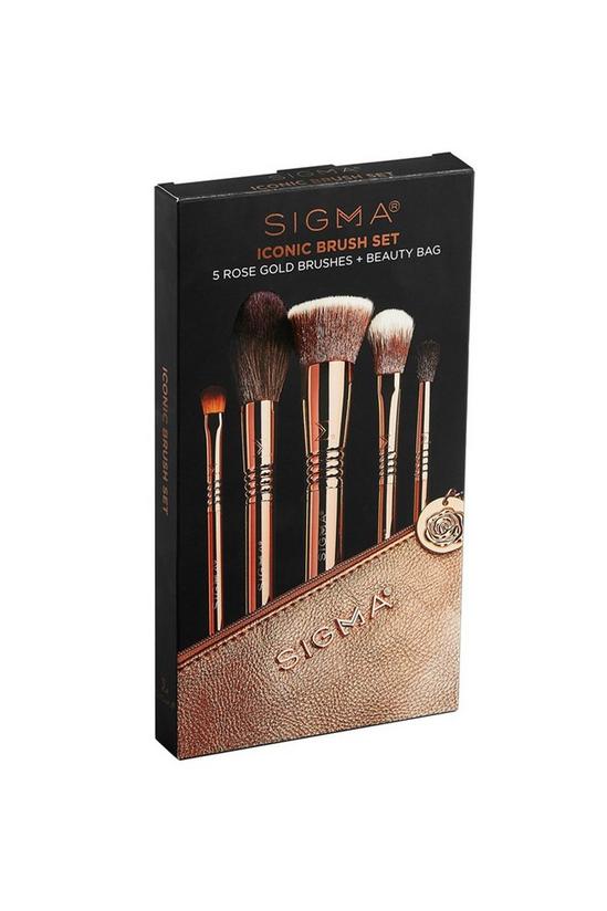 Sigma Iconic Brush Set 2