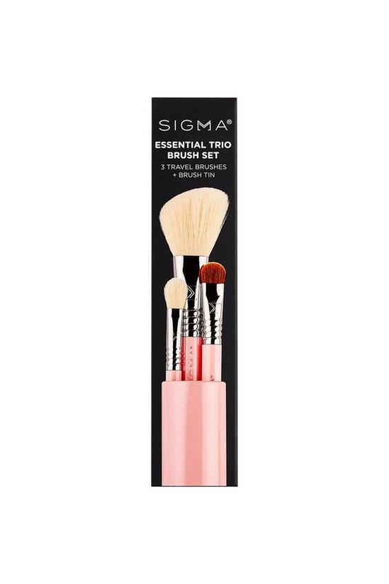 Sigma Essential Trio Brush Set - Light Pink 2