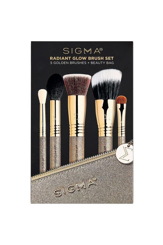 Sigma Radiant Glow Brush Set 2