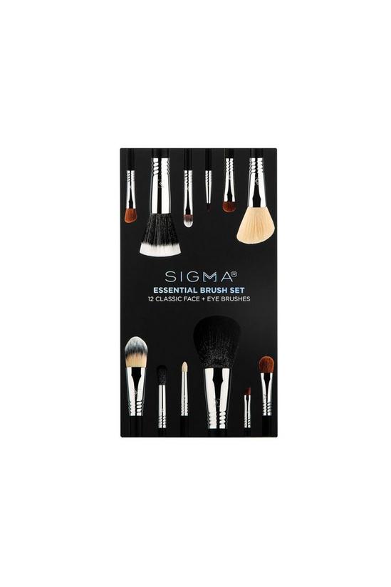 Sigma Essential Brush Set 2