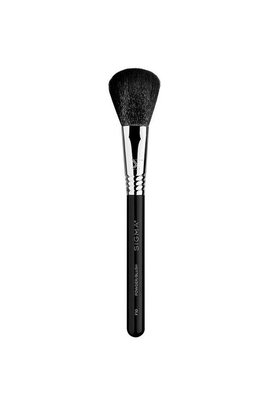 Sigma F10 - Powder/Blush Brush 1