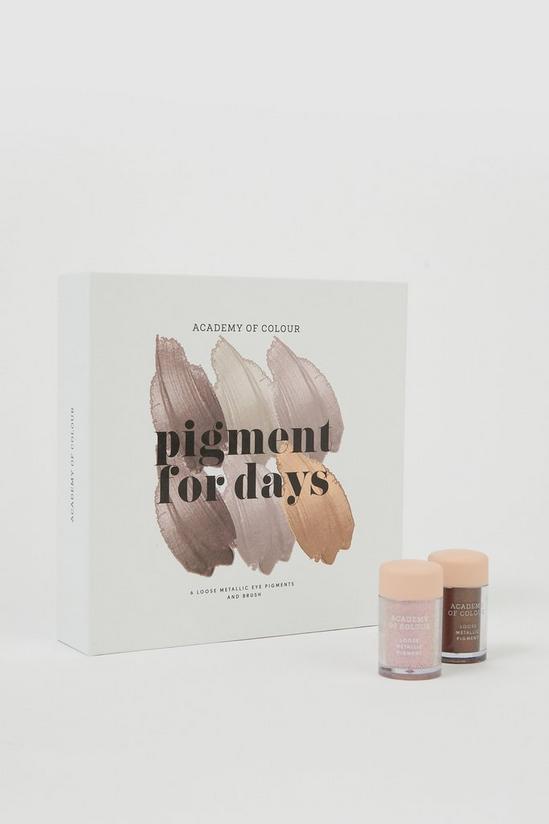 Academy of Colour Pigment For Days Metallic Eyeshadow Gift Set 1