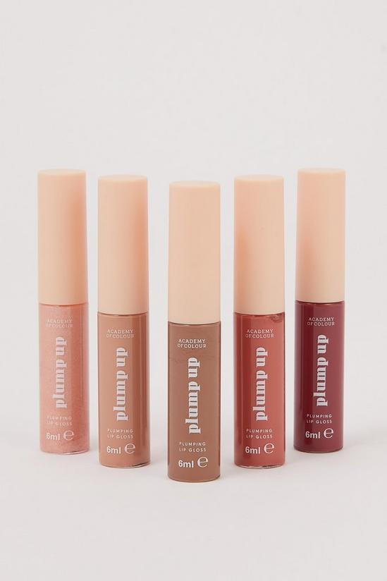 Academy of Colour Plumping Lip Gloss 5 Piece Gift Set 2