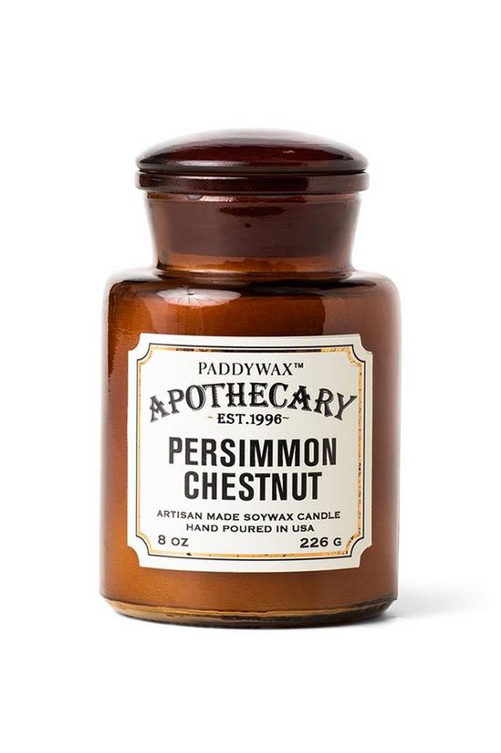 Paddywax Apothecary Glass Candle - Persimmon Chestnut 1