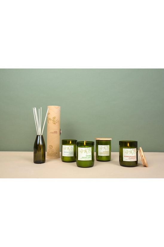 Paddywax Eucalyptus + Sage Candle 2