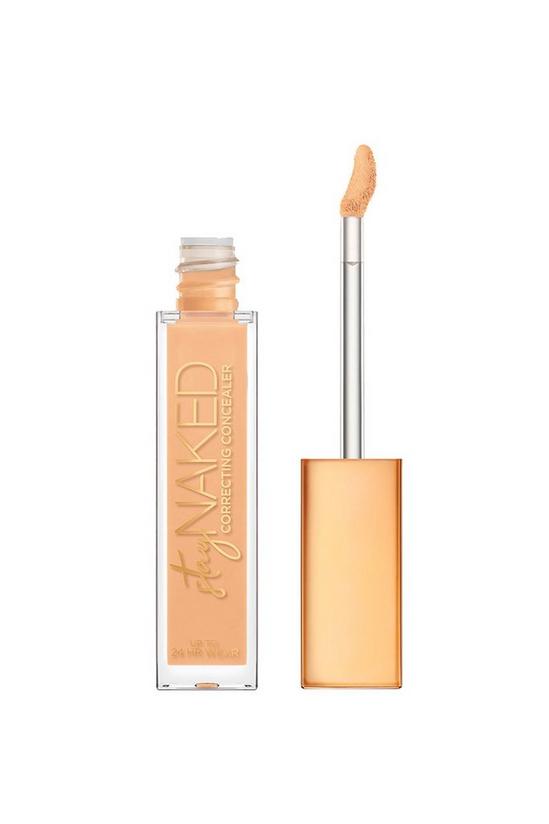 Urban Decay Stay Naked Concealer 10.2g 1