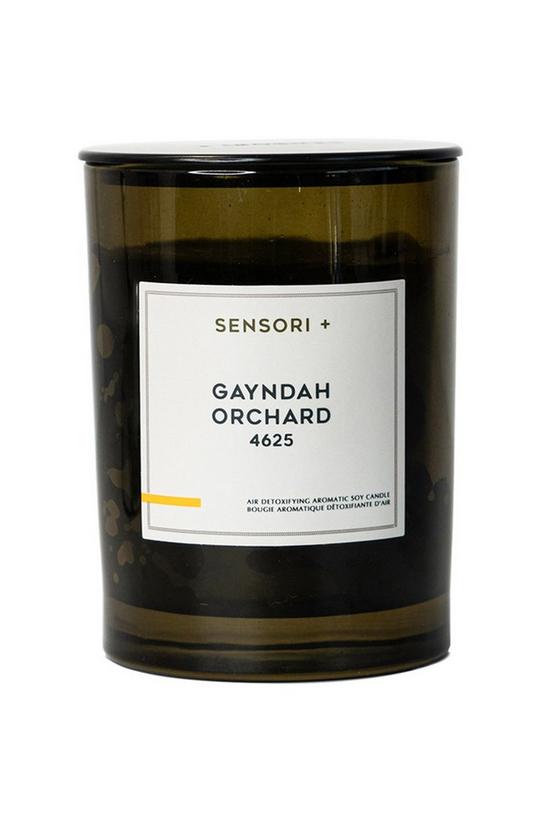 Sensori+ Detoxifying Soy Candle Gayndah Orchard 260g 1