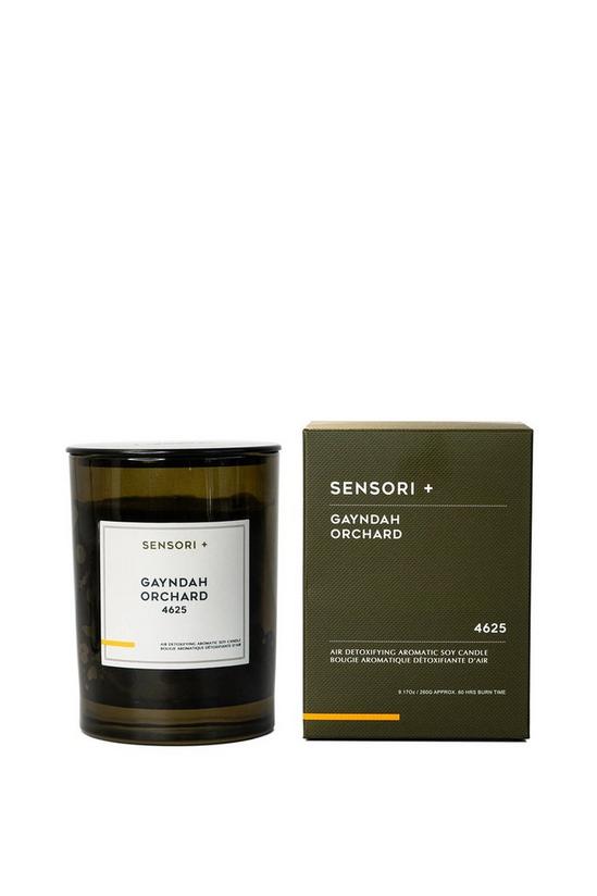 Sensori+ Detoxifying Soy Candle Gayndah Orchard 260g 2