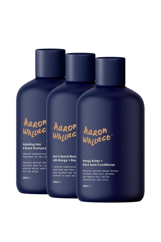 Aaron Wallace 3-step Haircare System 1