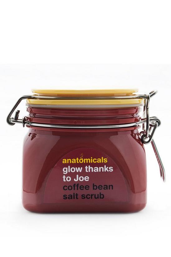Anatomicals "Glow thanks to Joe" Body Scrub 1