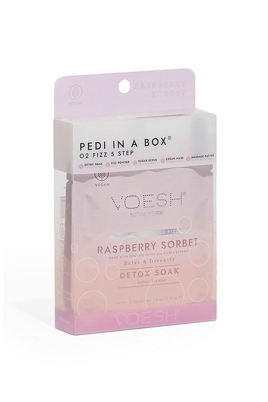 Voesh Pedi in a Box O2 Fizz (5 step) Raspberry Sorbet 1