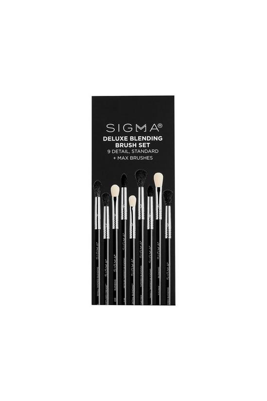 Sigma Deluxe Blending Brush Set 2