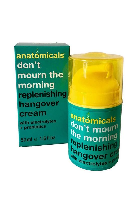Anatomicals Don't Mourn The Morning Face Cream 1