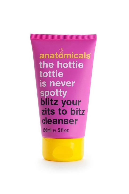 Anatomicals Anti-Zit Face Cleanser 1