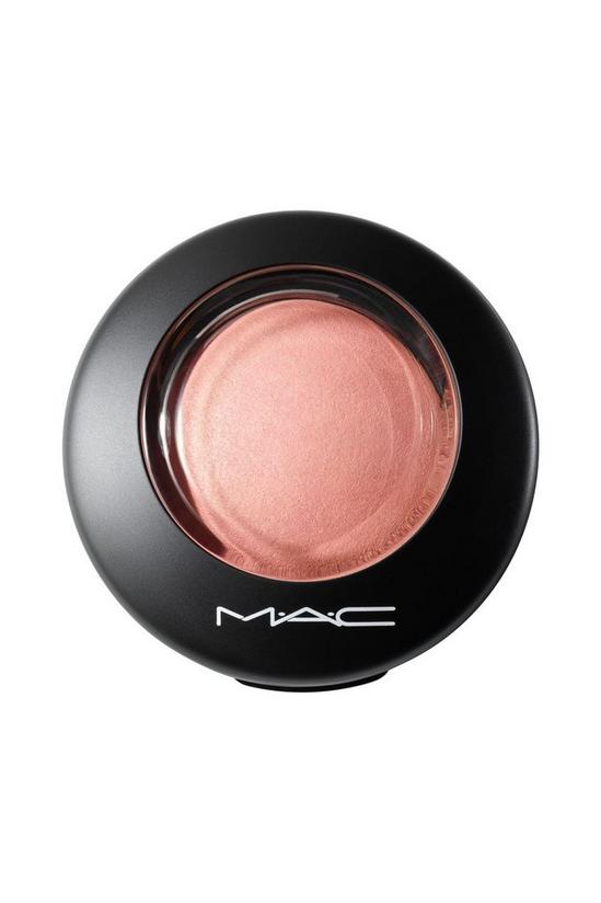 MAC Cosmetics Mineralize Matte Blush 3