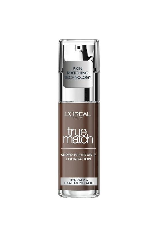 L'Oréal Paris True Match Liquid Foundation with Hyaluronic Acid and SPF 1