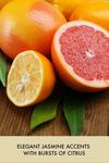 Baylis & Harding Sweet Mandarin & Grapefruit Luxury Hand Care Gift Set thumbnail 4
