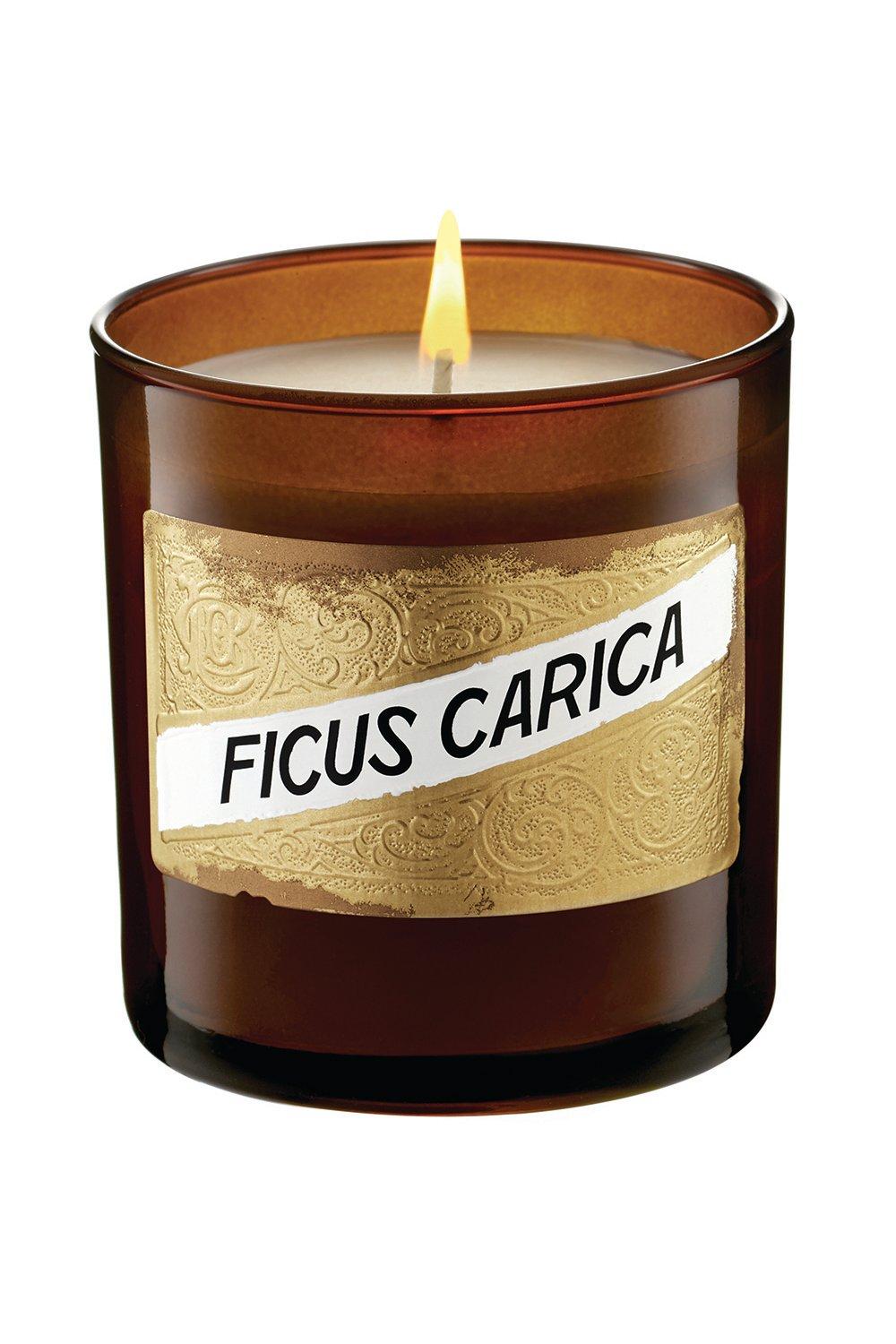 Ficus Carica (Fig) Candle