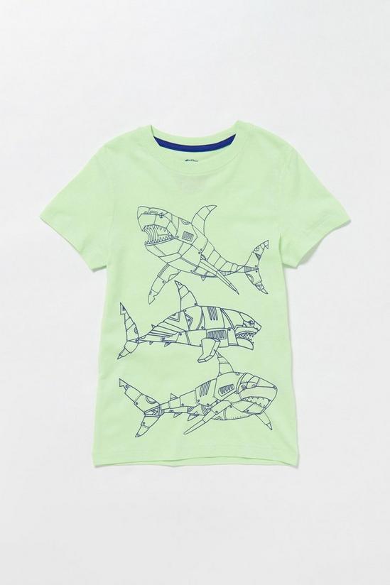 Blue Zoo Boys Shark Print Cotton T-Shirt 1