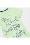 Blue Zoo Boys Shark Print Cotton T-Shirt thumbnail 3