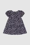 Blue Zoo Younger Girls Tiered Dress thumbnail 2