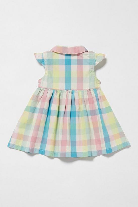 Blue Zoo Baby Girls Check Dress and Hat 2