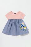 Blue Zoo Baby Girls Pink Floral Applique Dress thumbnail 1