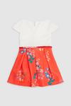 Blue Zoo Toddler Girl Floral Mockable Dress With Belt thumbnail 2