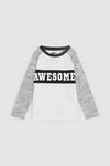 Blue Zoo Younger Boy Awesome Slogan Tee thumbnail 1