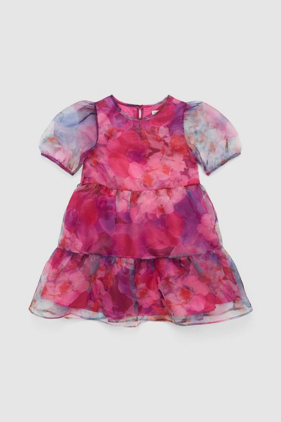 Blue Zoo Younger Girls Organza Large Floral Dress 1