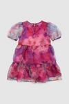 Blue Zoo Younger Girls Organza Large Floral Dress thumbnail 2